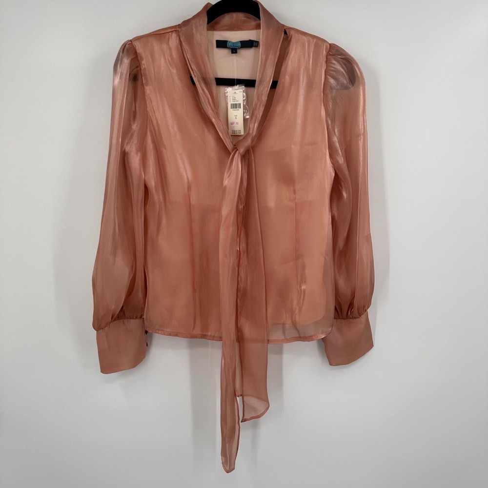 Eva Franco Anthropologie Rosetta Shimmer Blouse Womens Small Pink Sheer Tie Neck